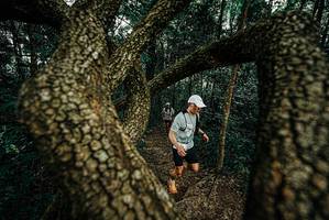 BIB: 
                            <button type="button" onclick="openModal(25669150)" class="btn btn-primary btn-sm float-right btn-popup" data-toggle="modal" data-target=".modal-high-quality">
                        <i class="fas fa-shopping-cart"></i> Add to Cart
                    </button>
                                            <button type="button" onclick="isThisMe(25669150, true)" class="btn btn-success btn-sm float-right btn-popup btn-isme hidden" data-toggle="tooltip" data-placement="bottom" title="นี่คือรูปของคุณใช่ไหม คลิกที่นี่เพื่อเอาเข้าอัลบั้ม">
                        <i class="fas fa-plus"></i> Add to album
                    </button>
                    <button type="button" onclick="isThisMe(25669150, false)" class="btn btn-warning btn-sm float-right btn-popup btn-isnotme hidden">
                        <i class="fas fa-ban"></i> Remove from album
                    </button>